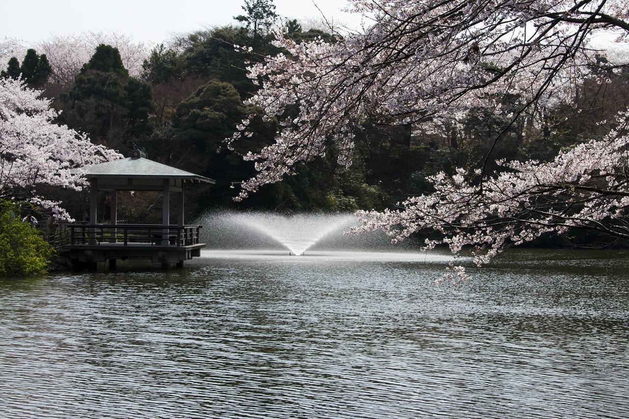 Villa Maidohaya Fukutatei Takaoka Esterno foto